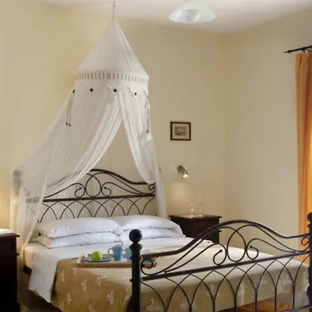 Dream View 3* Стелида