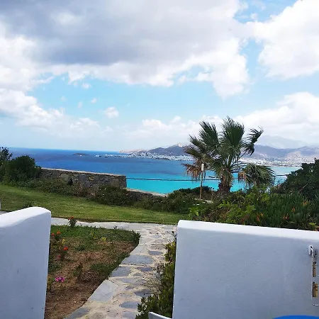 Dream View